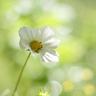 蜘蛛侠1